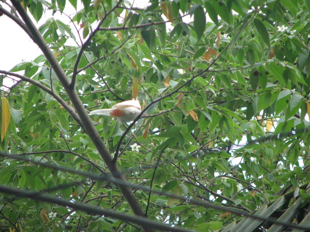 IMG_0138.jpg